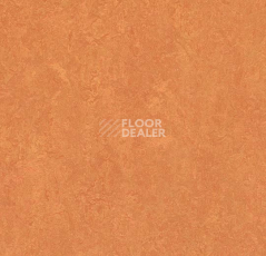 Линолеум Forbo Marmoleum Decibel on Order 382535 African desert фото 1 | FLOORDEALER